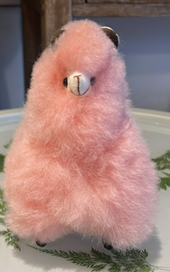 Stuffed Animal
